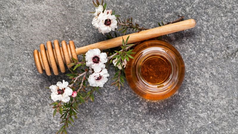 Mật ong Manuka giúp điều trị các nốt mụn và vết thâm mụn Mật ong Manuka giúp điều trị các nốt mụn và vết thâm mụn
