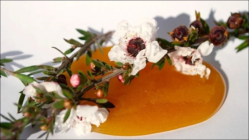Các chất chống oxy hóa trong mật ong Manuka có tác dụng chống viêm Các chất chống oxy hóa trong mật ong Manuka có tác dụng chống viêm