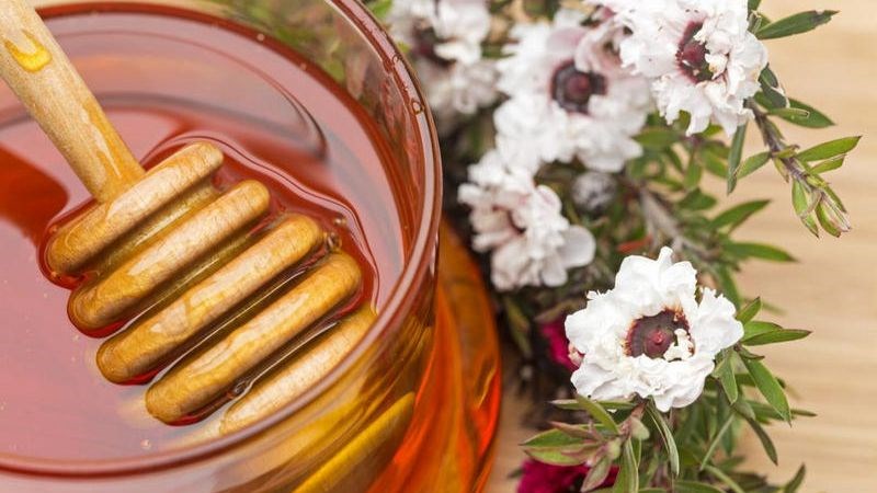 Mật ong Manuka dưỡng ẩm và thúc đẩy làn da mềm mại Mật ong Manuka dưỡng ẩm và thúc đẩy làn da mềm mại