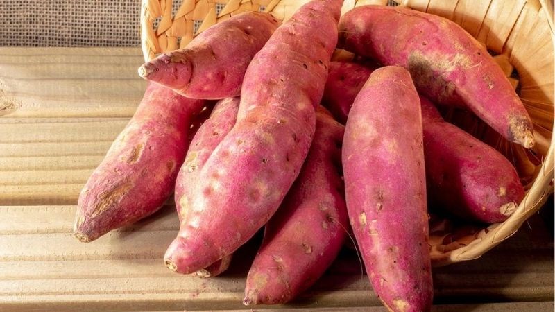 Khoai lang từ lâu đã được biết đến với khả năng ngăn ngừa táo bón
