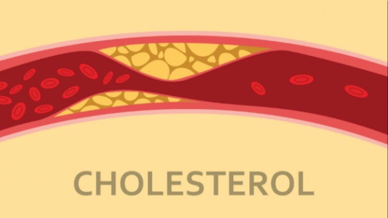 Bổ sung chất xơ hàng ngày có thể làm giảm cholesterol trong cơ thể