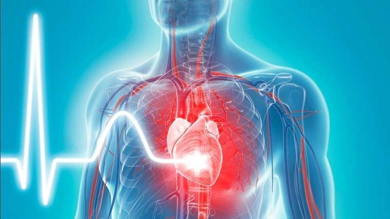Chế độ ăn ít chất xơ có thể dẫn đến đến một số bệnh như tim mạch, táo bón, trĩ, tiểu đường...