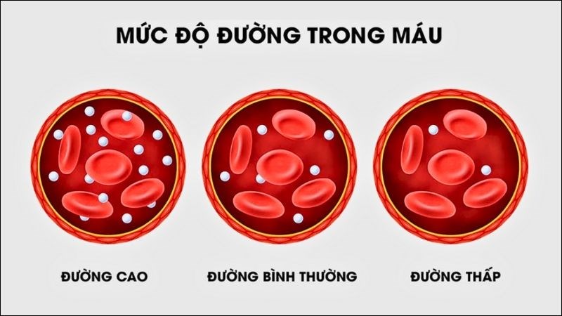 Ăn bông cải xanh có thể hỗ trợ kiểm soát lượng đường trong máu