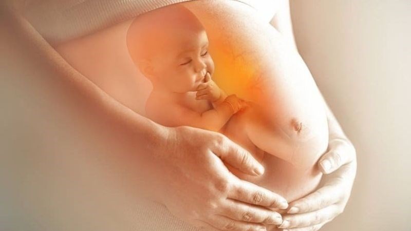 Beta-carotene trong hạt bí ngô hỗ trợ sự phát triển toàn diện của thai nhi