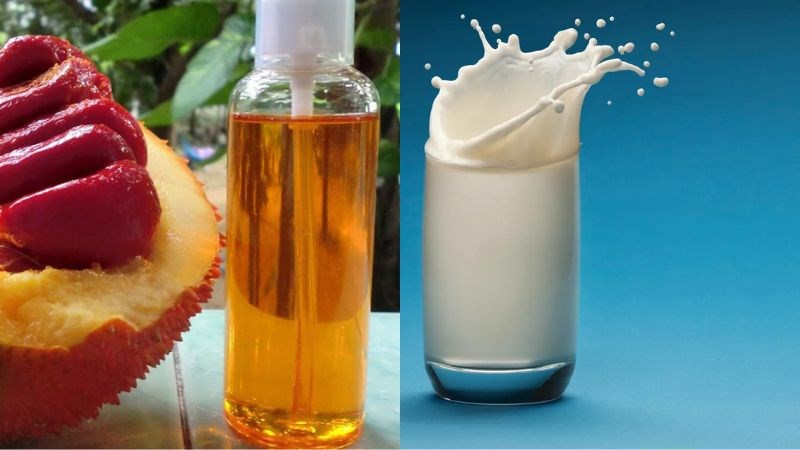 Sữa tươi và dầu gấc kết hợp với nhau giúp loại bỏ tế bào chết và trẻ hóa da