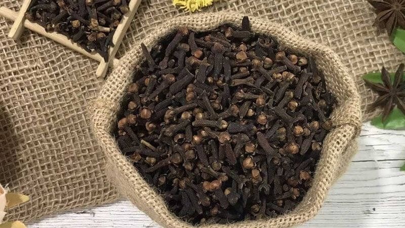 Tinh dầu đinh hương được chiết xuất từ nụ đinh hương
