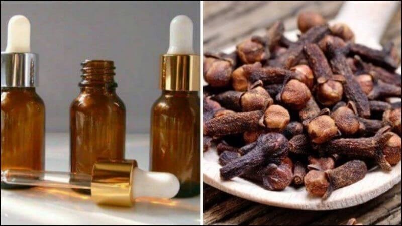 Một số cách sử dụng tinh dầu đinh hương