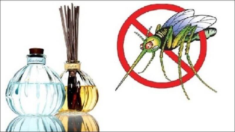 Tinh dầu đinh hương có tác dụng đuổi côn trùng như bọ chét, rệp, bọ ve...