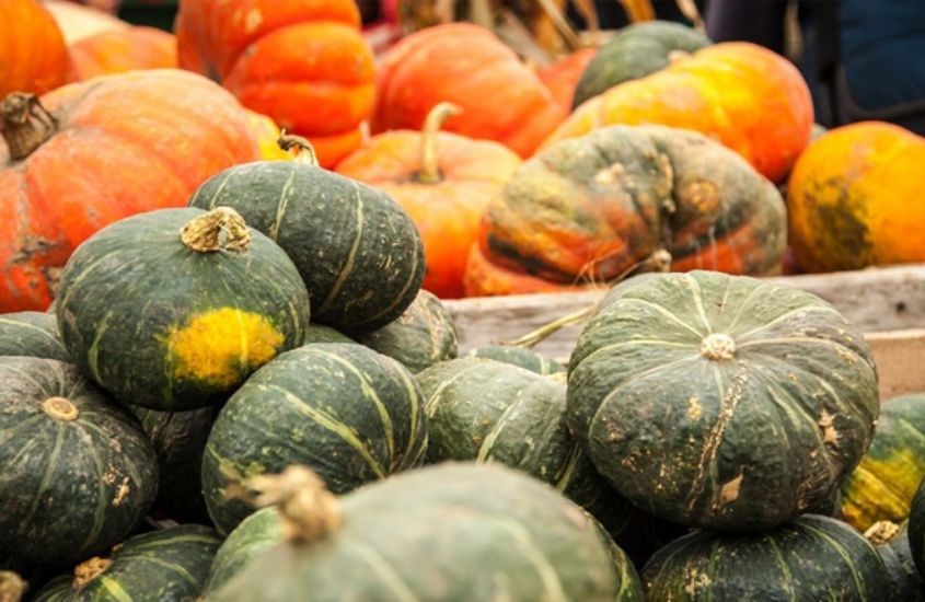 Chọn bí tốt để sữa bí đỏ đầy đủ chất dinh dưỡng