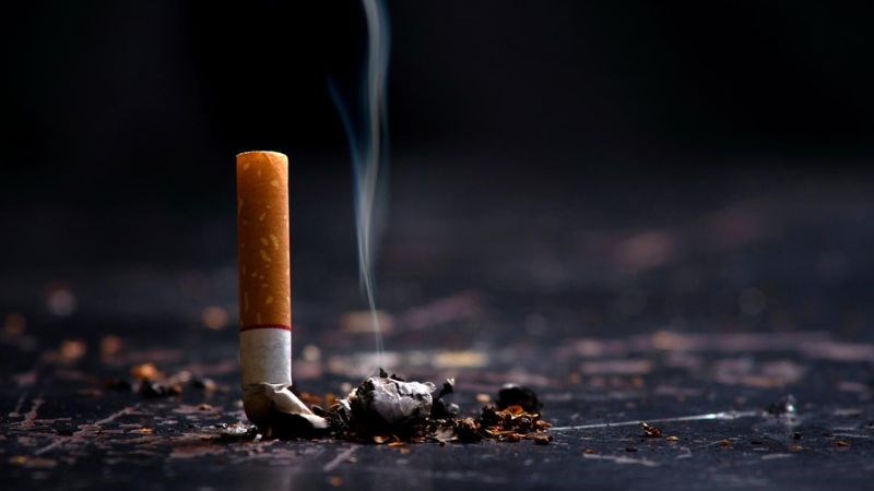 Nicotine và các chất độc hại khác trong thuốc lá có thể phá hủy các sợi đàn hồi trên da