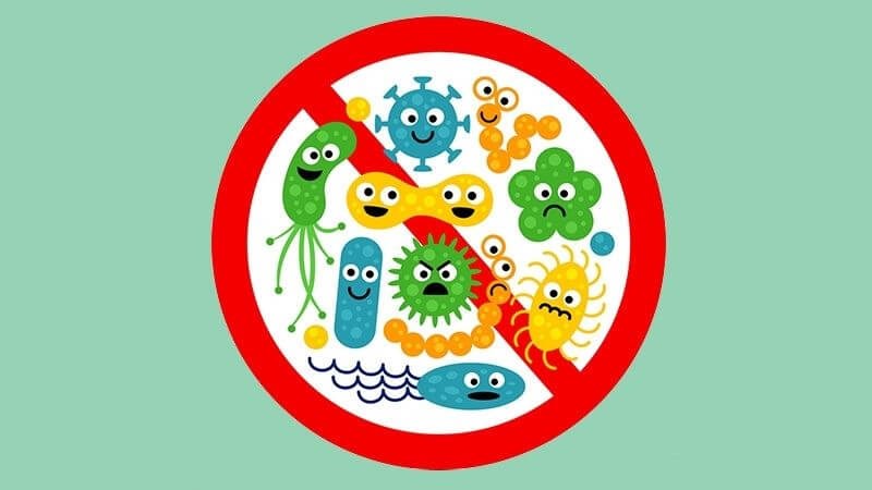 Lactobacillus reuteri với khả năng kháng khuẩn