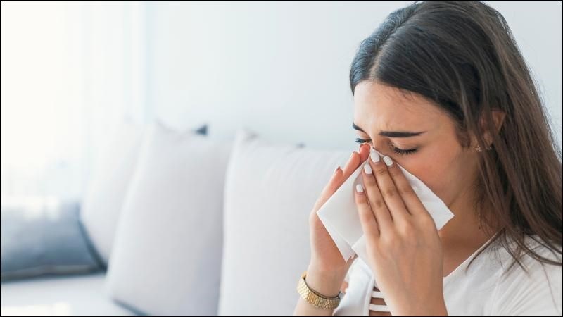 Hít dầu bạch đàn có thể giúp giảm triệu chứng của sốt cỏ khô hoặc viêm mũi dị ứng nhanh chóng