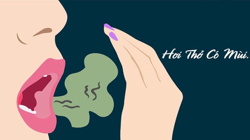 Dầu bạch đàn có tác dụng tích cực trong việc chống lại vi khuẩn gây sâu răng và viêm nha chu