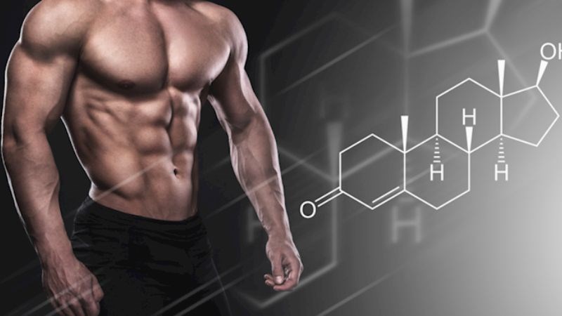 Bạch tật lê được dùng để giúp tăng hormone nam tự nhiên