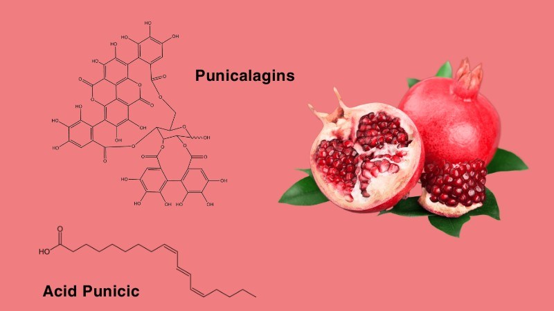 Punicalagins và Acid Punicic là hai thành phần hóa học chính của quả lựu