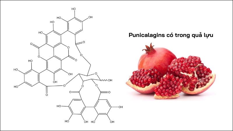 Punicalagins có trong quả lựu là một chất chống oxy hóa mạnh