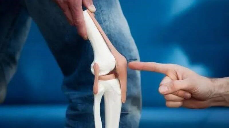 Chiết xuất hạt nho giúp tăng sức mạnh của xương Chiết xuất hạt nho giúp tăng sức mạnh của xương