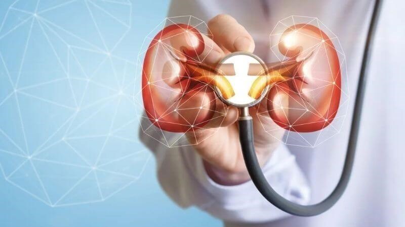 Chiết xuất hạt nho giúp giảm tổn thương và cải thiện chức năng thận Chiết xuất hạt nho giúp giảm tổn thương và cải thiện chức năng thận