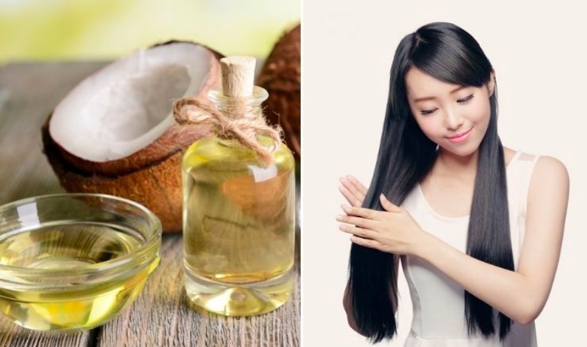 Dầu dừa và dầu oliu loại nào tốt hơn cho sức khỏe, sắc đẹp?
