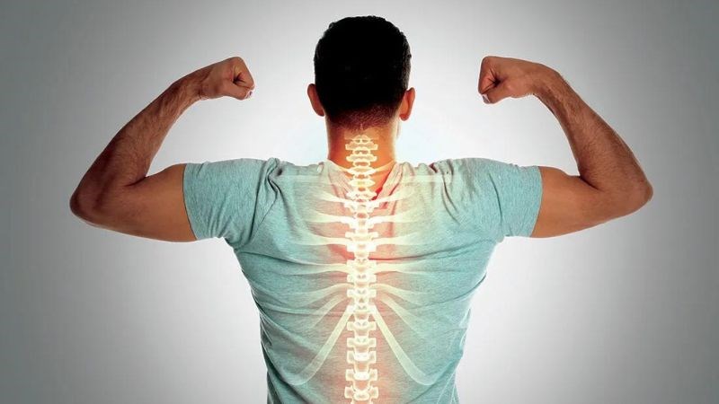 Mùi tây rất giàu vitamin K giúp giảm nguy cơ gãy xương và cải thiện mật độ xương