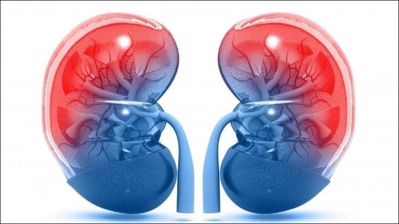 Mùi tây giúp giảm nguy cơ mắc bệnh thận