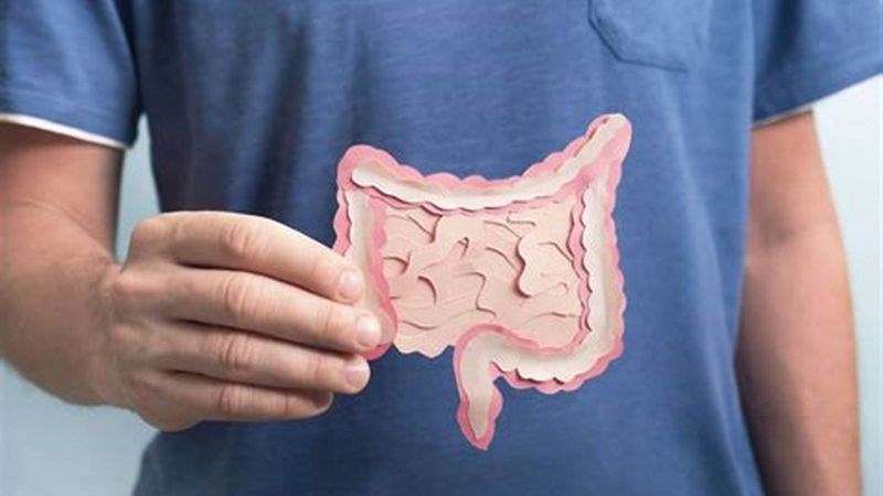 Mùi tây đem lại nhiều lợi ích trên đường tiêu hóa