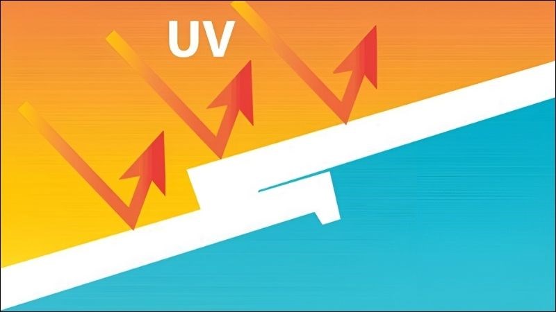 Chiết xuất quả cơm cháy có thể giúp tăng cường hoạt động bảo vệ da chống tia UV