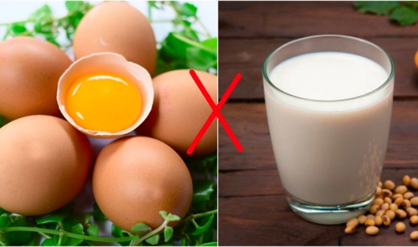 Mẹ nên loại bỏ chế độ ăn có chứa đạm sữa bò cho bé