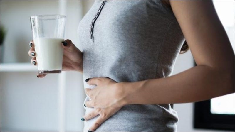 Lợi khuẩn L. acidophilus có tác dụng lớn giúp giảm tình trạng không dung nạp lactose