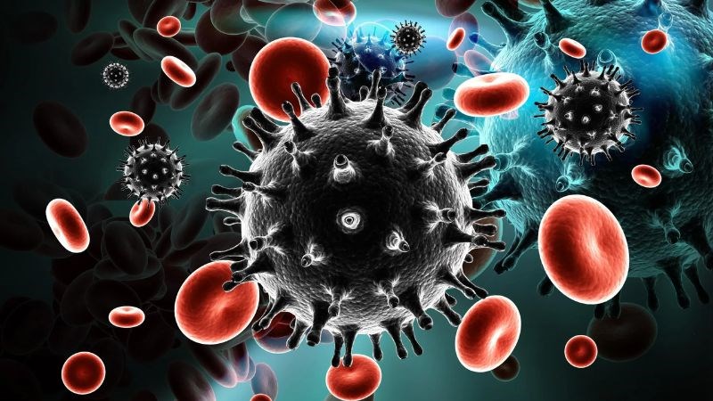 Hợp chất procyanidin (chiết xuất từ quế) có thể chống lại chủng virus HIV-1
