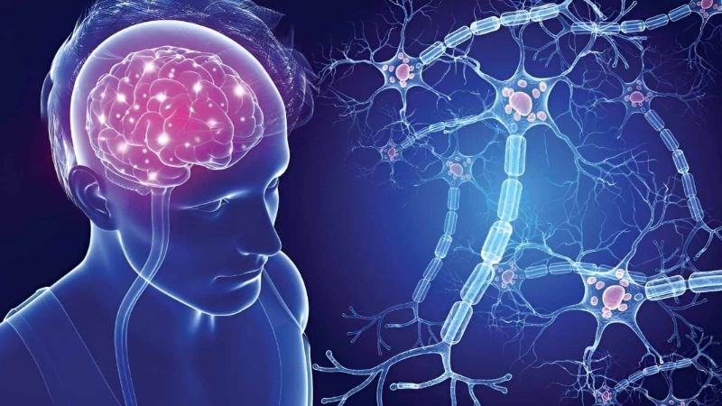 Quế có khả năng ngăn ngừa bệnh đa xơ cứng