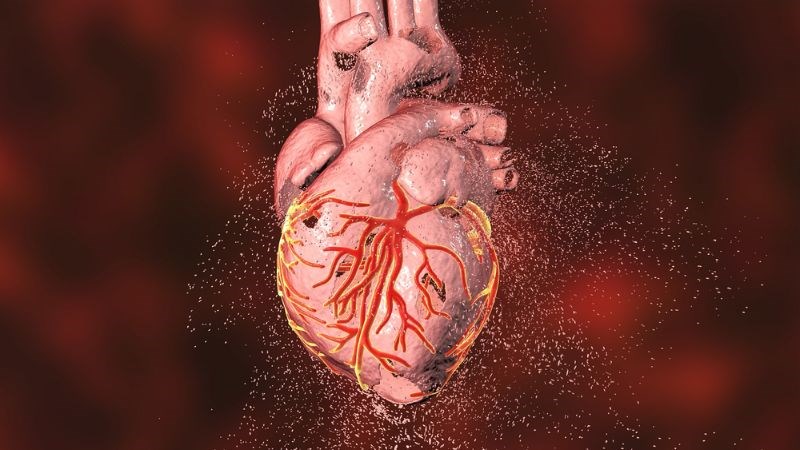 Quế giúp làm giảm các yếu tố nguy cơ gây bệnh tim mạch
