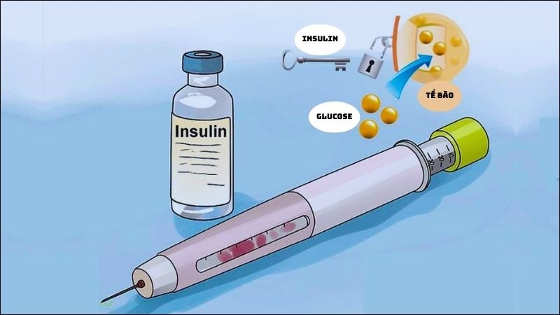 Quế giúp độ nhạy của insulin tăng lên và cải thiện tình trạng kháng insulin