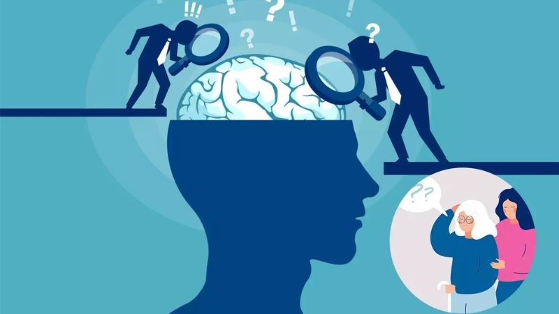 Quế giúp bảo vệ tế bào thần kinh và cải thiện tốc độ dẫn truyền thần kinh