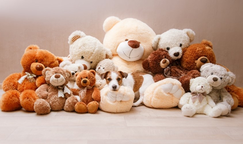 Gấu bông là món đồ chơi yêu thích của nhiều bé