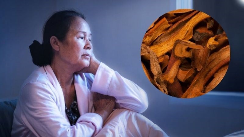 Cốt toái bổ giúp trị chứng suy nhược cơ thể ở người cao tuổi