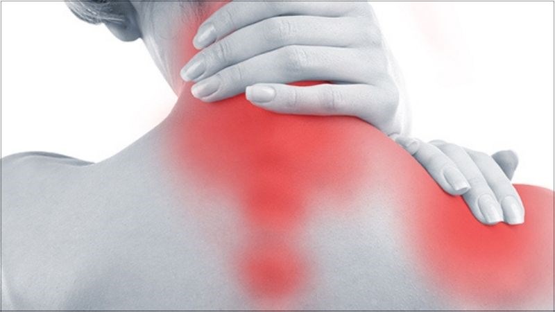 Quả việt quất có thể làm giảm các triệu chứng viêm hiệu quả