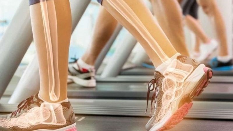 Việt quất chứa nhiều khoáng chất giúp hệ xương khớp luôn được khỏe mạnh