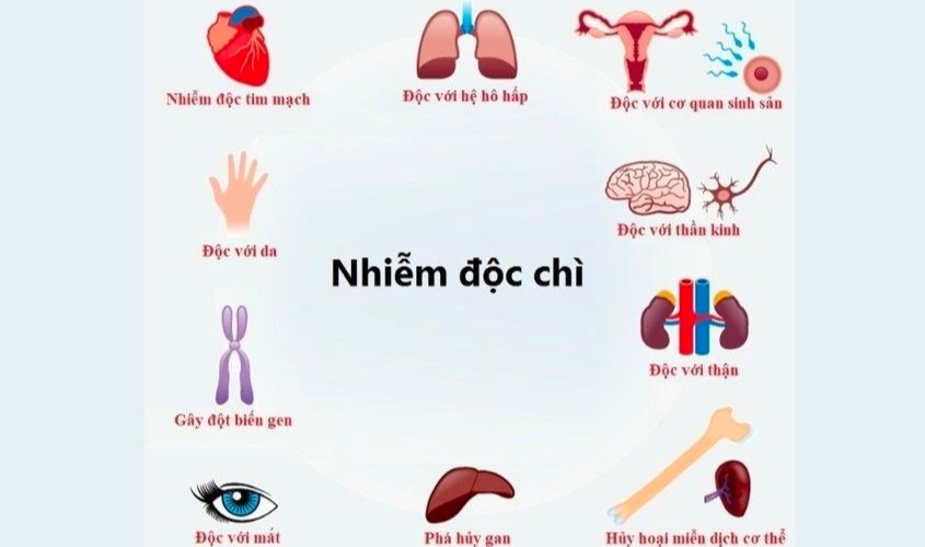 Ở giai đoạn nhiễm độc, các triệu chứng sẽ trở nên cấp tính và nặng hơn