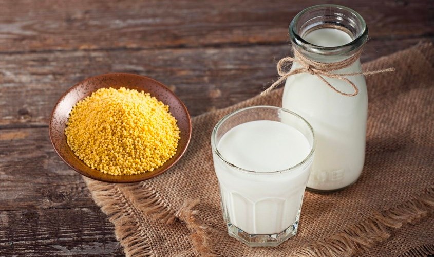 Hạt kê là là một trong những thực phẩm thuộc nhóm lành tính Hạt kê là là một trong những thực phẩm thuộc nhóm lành tính