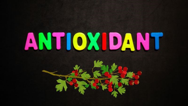 Quả táo gai là một nguồn giàu polyphenol 
