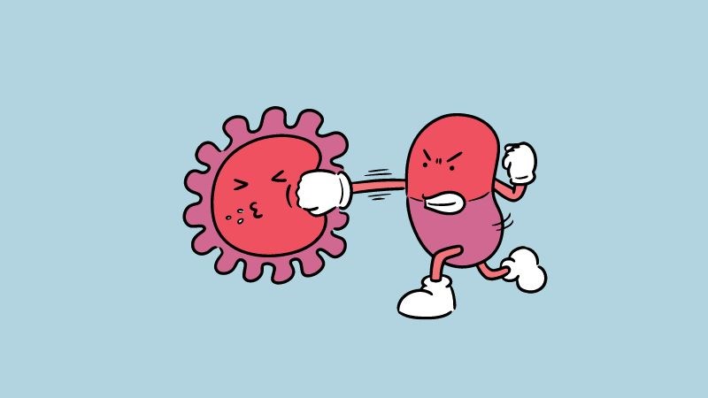 Quả táo gai chứa các chất kháng khuẩn giúp ngăn chặn sự phát triển của các vi sinh vật 