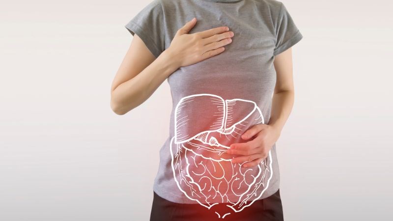 Táo gai được dùng để điều trị các vấn đề về tiêu hóa như chứng khó tiêu, đau dạ dày