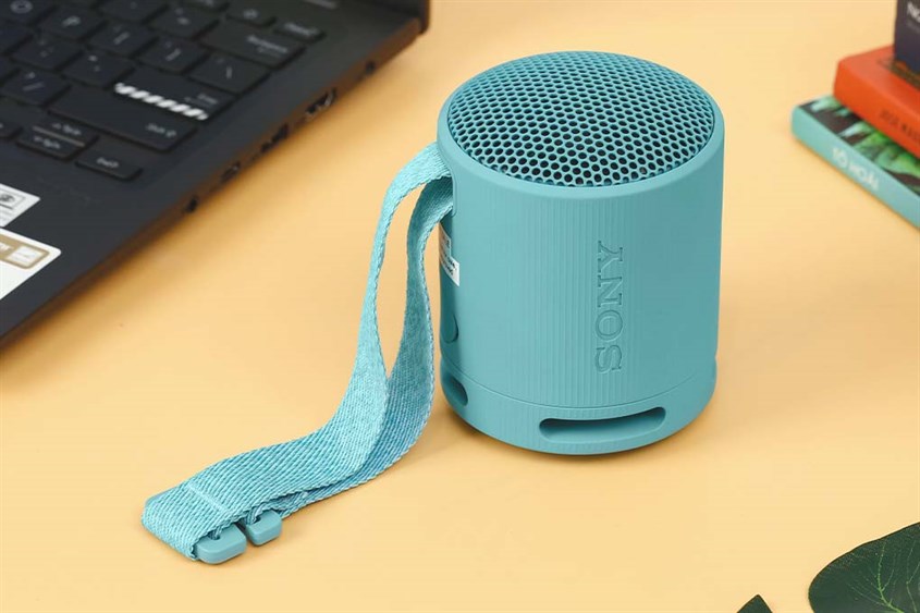 Loa Bluetooth Sony SRS-XB100