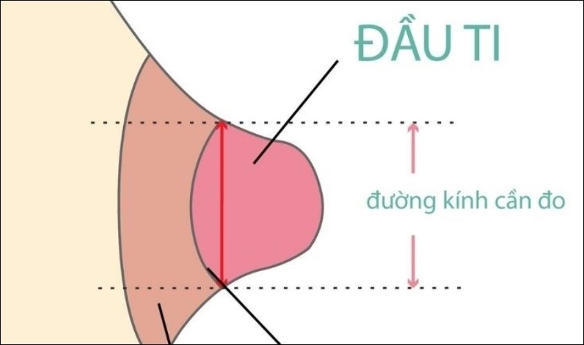 Mẹ cần đo đường kính hoặc chiều ngang của núm vú