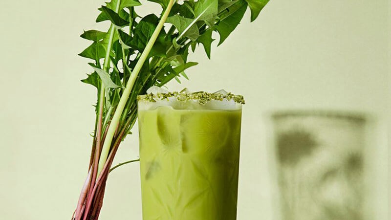 Sử dụng 3-4 cốc nước bồ công anh giúp ngăn ngừa hình thành sỏi