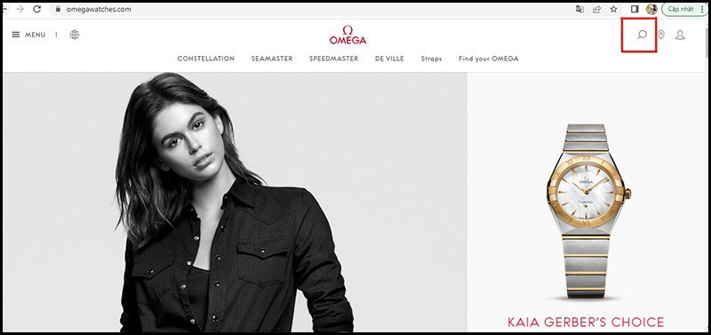 Truy cập v&agrave;o trang web ch&iacute;nh thức của Omega