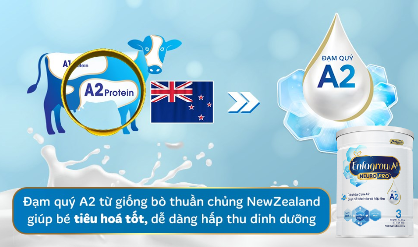 Sữa bột Enfagrow A2 Neuropro số 3 thành phần đạm quý A2 800g (1 - 6 tuổi)