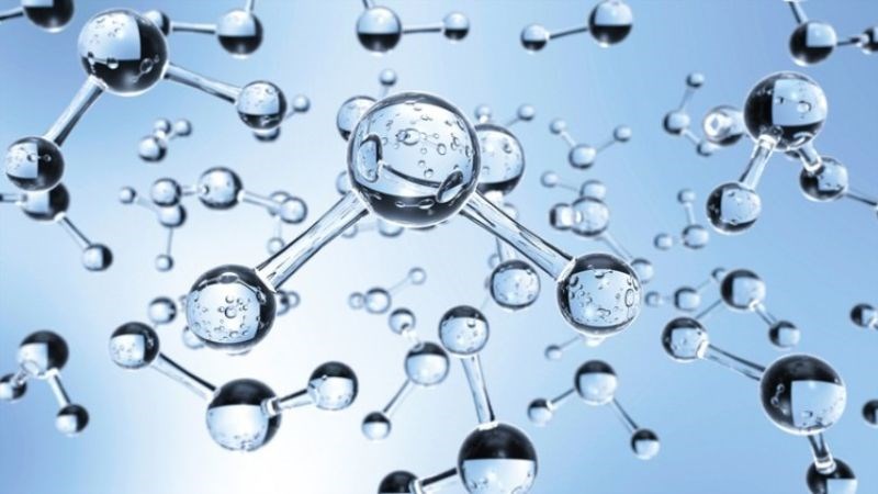 Dịch chiết lá tía tô chứa các chất chống oxy hóa như acid rosmarinic, luteolin