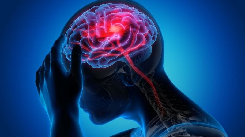 Tía tô bảo vệ tế bào thần kinh và tăng cường trí nhớ